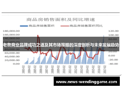 老詹商业品牌成功之道及其市场策略的深度剖析与未来发展趋势