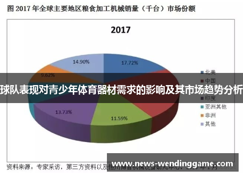 球队表现对青少年体育器材需求的影响及其市场趋势分析