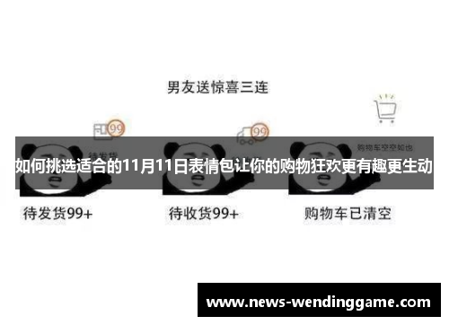 如何挑选适合的11月11日表情包让你的购物狂欢更有趣更生动