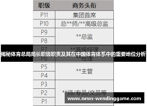揭秘体育总局局长职级职责及其在中国体育体系中的重要地位分析