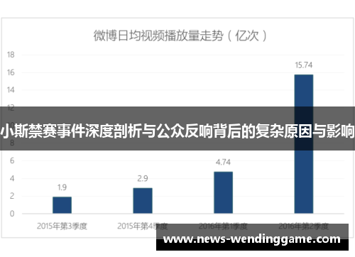 小斯禁赛事件深度剖析与公众反响背后的复杂原因与影响